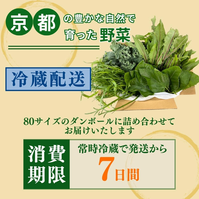 【爬虫類用】訳あり野菜と季節の葉っぱ詰め合わせ【60サイズ】