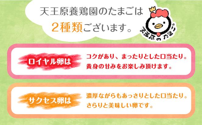 12回定期 【天王原のたまご】 サクセス卵30個/ロイヤル卵30個