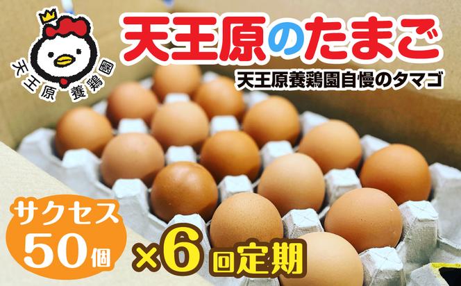 【定期便】６回定期 【天王原のたまご】 サクセス卵 50個入り