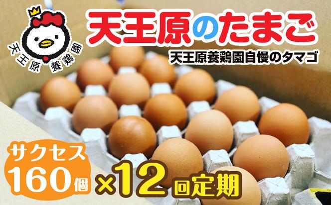 【定期便】12回定期 【天王原のたまご】 サクセス卵160個入り