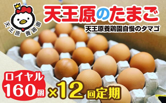 【定期便】12回定期 【天王原のたまご】 ロイヤル卵160個入り