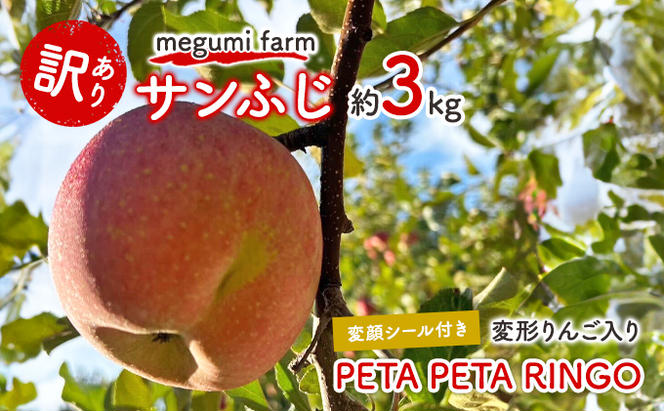 【変顔シール付き 変形りんご入り】 青森県鰺ヶ沢町産 訳あり サンふじ 約3kg (8～9玉) PETA PETA RINGO