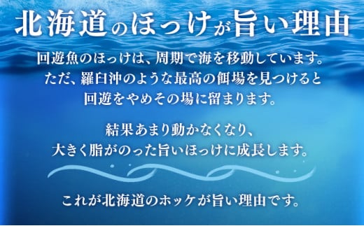 北海道産 冷凍開きホッケ 400g以上×3枚 真空包装