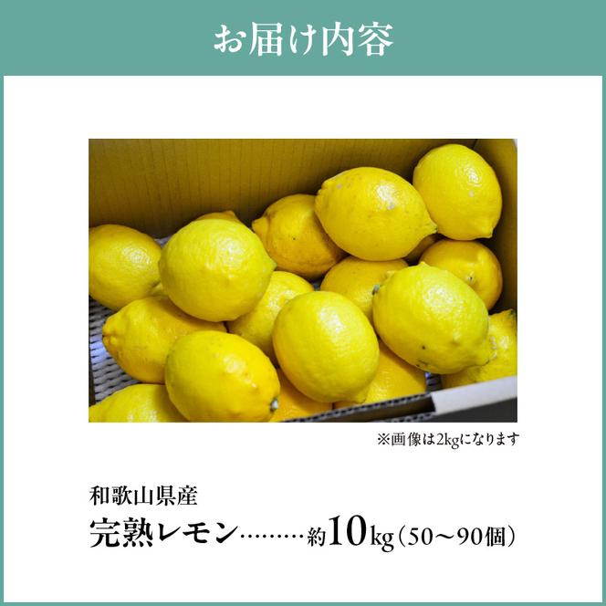 EA6013_和歌山県産 完熟 レモン 10kg 皮まで使用可能（栽培期間中農薬不使用）