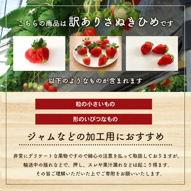 訳あり さぬきひめ 1.2kg 香川県産 苺 イチゴ フルーツ 果物 くだもの 旬のフルーツ 旬の果物 不揃い ジャム 加工 加工食品 訳アリ 香川 香川県 東かがわ市