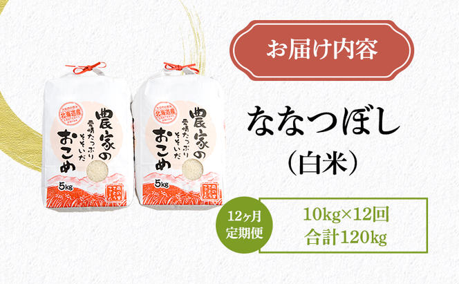 米 定期便 12ヶ月 北海道南るもい産 ななつぼし 10kg (5kg×2袋) お米 おこめ こめ コメ 白米 精米 ご飯 ごはん 12回 お楽しみ 北海道 留萌