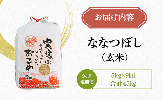 米 第7回米-1GP金賞受賞 定期便 9ヶ月 ななつぼし 玄米 5kg 北海道 南るもい産 お米 5キロ 精米 こめ コメ おこめ げんまい 北海道産 留萌 留萌市