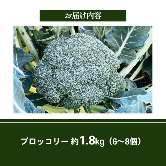 16farmの新鮮ブロッコリー 約1.8kg（6～8個） ブロッコリー 野菜 やさい 新鮮 東かがわ