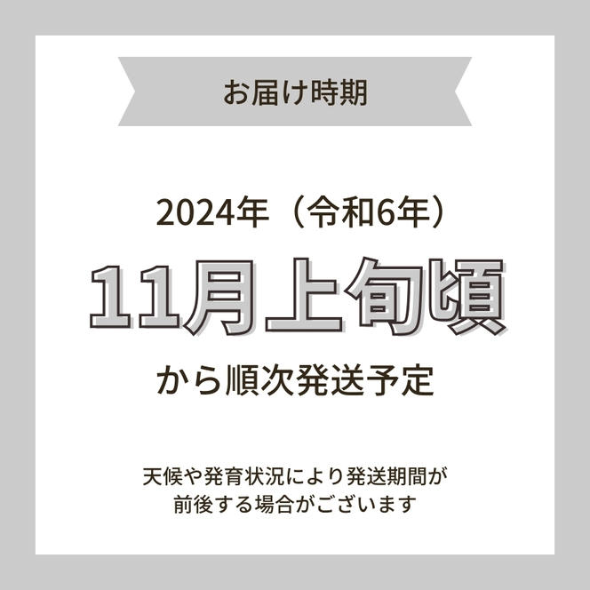 令和6年産 新米 11月から発送 特別栽培米 恋の舞 ササニシキ にかほ 玄米 10kg