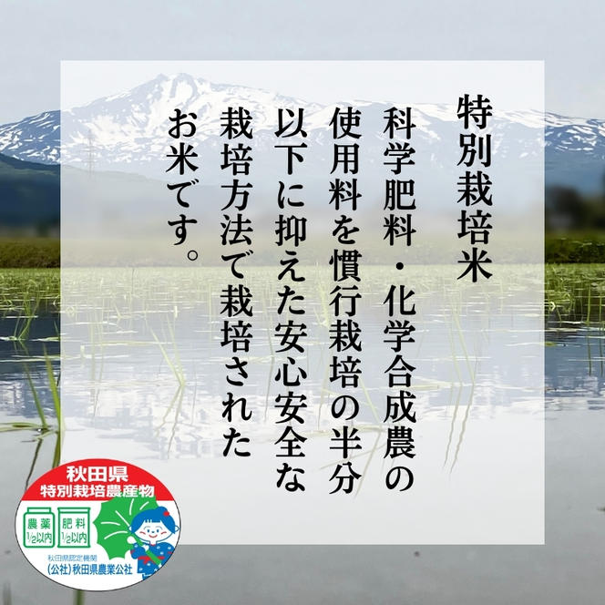 令和6年産 新米 11月から発送 特別栽培米 鰰米 コシヒカリ にかほ 玄米 5kg