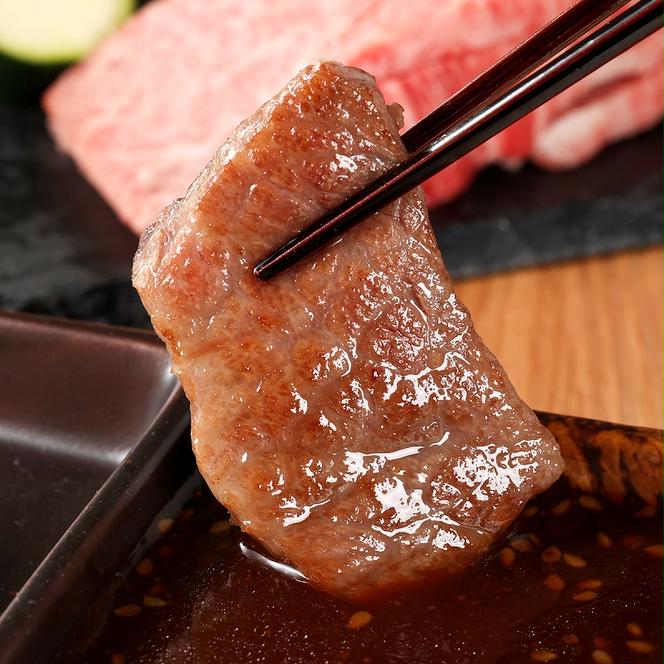 【和牛セレブ】 神戸牛 定期便 「ファーストクラス」（定期便6回）　定期 定期購入 牛肉 肉 神戸ビーフ 神戸肉 兵庫県 加東市