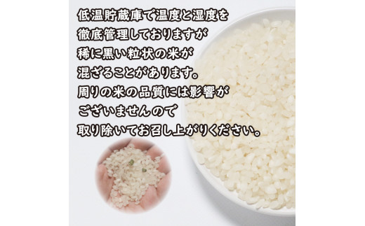 先行予約 新米 令和6年産 にじのきらめき 5kg 7000円 お米 白米 精米 低温 貯蔵庫 産地直送 国産 農家直送 期間限定 数量限定 特産品 先行 事前 予約 受付 令和6年度産 2024年産 新品種 大粒 もっちり 粘り 甘み おいしい おにぎり コシヒカリ に負けない 内祝い お祝い 贈答品 お返し プレゼント 土産 御礼 お礼 お取り寄せ 愛南町 愛媛県 マルハラファーム