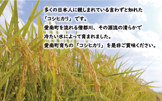 先行予約 新米 令和6年産 定期便 4回 試せる 4種 合計 20kg コシヒカリ ひめの凛 ヒノヒカリ にじのきらめき 5kg × 4回 お米 白米 精米 こしひかり 低温 貯蔵庫 産地直送 国産 農家直送 期間限定 数量限定 特産品 先行 事前 予約 受付 令和6年度産 2024年産 新品種 大粒 もっちり 粘り 甘み おいしい おにぎり 贈答品 プレゼント 愛南町 愛媛県 マルハラファーム