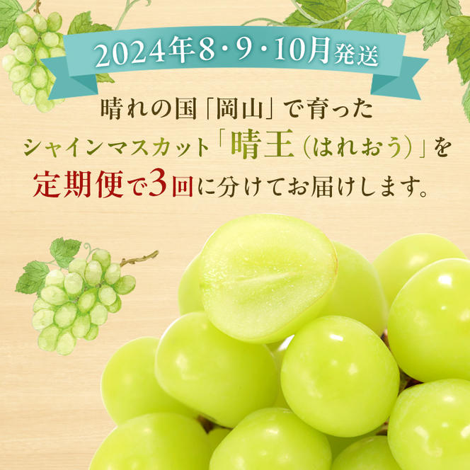 ぶどう 定期便 2025年 先行予約 シャイン マスカット 晴王 各月2房（1房600g以上） 3回コース マスカット ブドウ 葡萄  岡山県産 国産 フルーツ 果物 ギフト