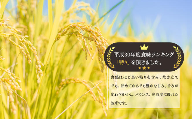 米 定期便 9ヶ月 北海道 ゆめぴりか 5kg 留萌管内産 お米 特A 特A米 こめ コメ おこめ 白米 ふるさと納税米 ふるさと 留萌  定期 お楽しみ 9回