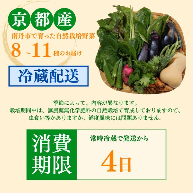 自然栽培・季節の野菜詰め合わせセット 旬 新鮮 採れたて 栽培期間中 無農薬 無化学肥料 安心安全 自然派 産地直送 やさい 詰め合わせ 京都府 南丹市