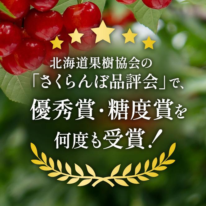 先行受付 2025年7月から順次出荷 北海道 仁木町産「匠」 さくらんぼ 【 佐藤錦 】300g×2 嶋田茂農園