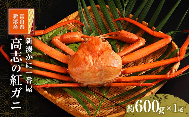 新湊かに一番屋【お薦め】高志の紅ガニ600g ズワイガニ 紅ずわいがに カニ 蟹 富山県 射水市