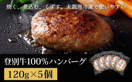 登別牛100％使用ハンバーグ 120g×5個