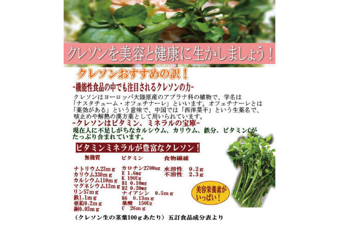 奥久慈クレソンの最強野菜粉末パウダー (50g×3袋)（BE001）