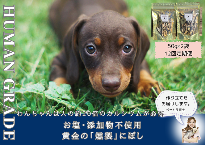 FB065 　犬と猫の無添加おやつ☆お塩不使用☆黄金の燻製にぼし【12回定期便】