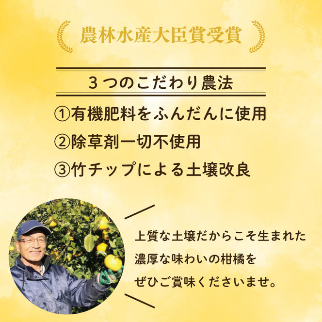 【訳あり】  河内晩柑 10kg 木取り完熟  【発送期間: 2024年８月～ なくなり次第終了】 柑橘 みかん 愛南ゴールド 蜜柑 グレープフルーツ ゼリー ジュース アイス 果物 フルーツ サイズミックス 規格外 吉本農園