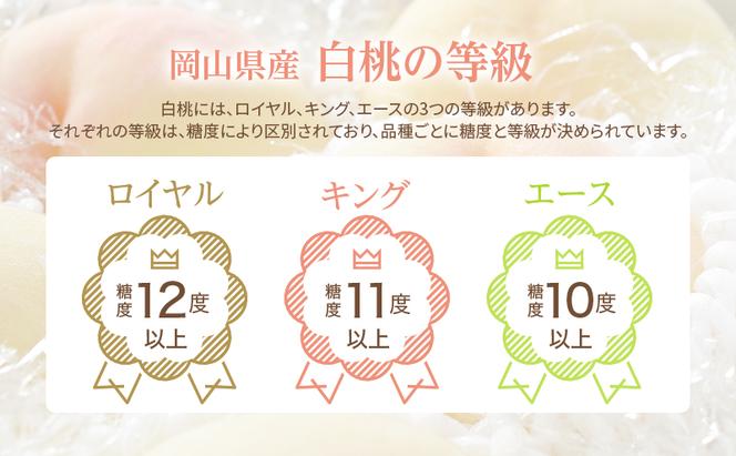 桃 2025年 先行予約 岡山 白桃 ロイヤル 4～6玉 約1kg JA おかやま のもも（早生種・中生種） もも モモ 岡山県産 国産 フルーツ 果物 ギフト