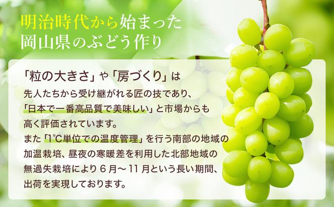 ぶどう 2025年 先行予約 シャイン マスカット 晴王 約400g×2房 8月下旬～11月下旬発送 ブドウ 葡萄 岡山県産 国産 フルーツ 果物 ギフト 