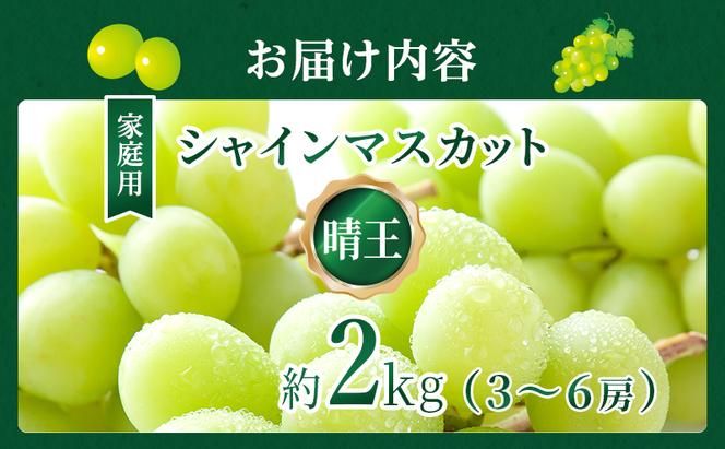 ぶどう 2025年 先行予約 ご家庭用 シャイン マスカット 晴王 3～6房 約2kg ブドウ 葡萄  岡山県産 国産 フルーツ 果物