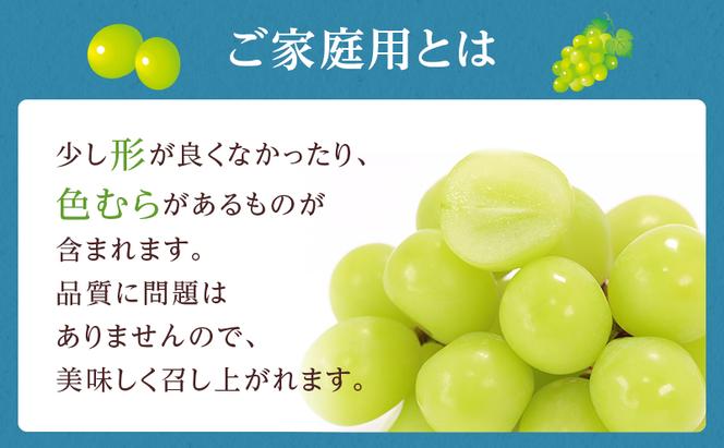 ぶどう 2025年 先行予約 ご家庭用 シャイン マスカット 晴王 3～6房 約2kg ブドウ 葡萄  岡山県産 国産 フルーツ 果物