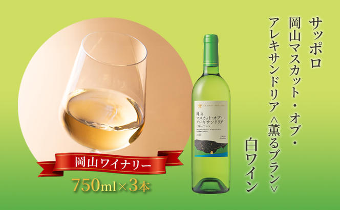 ワイン サッポロ グランポレール 岡山 マスカット ・ オブ ・ アレキサンドリア 薫るブラン 白ワイン 750ml 3本 セット 岡山 ワイナリー ぶどう お酒 酒 アルコール