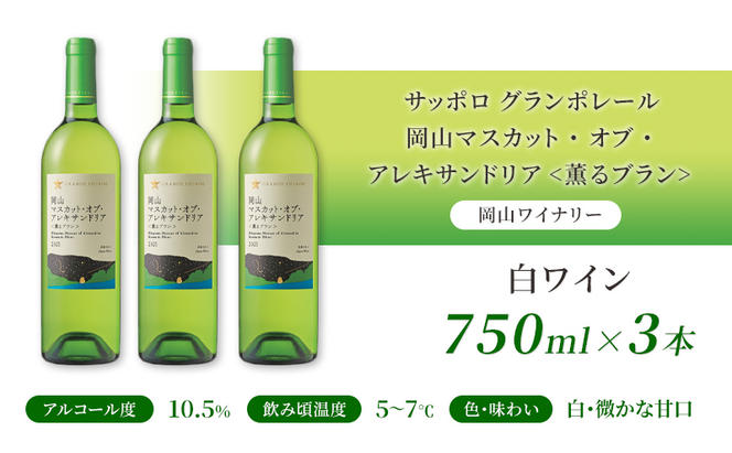 ワイン サッポロ グランポレール 岡山 マスカット ・ オブ ・ アレキサンドリア 薫るブラン 白ワイン 750ml 3本 セット 岡山 ワイナリー ぶどう お酒 酒 アルコール