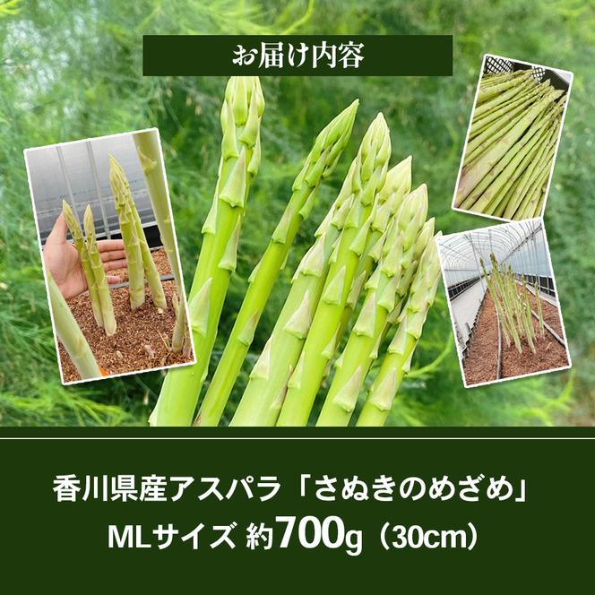 16farmのアスパラ「さぬきのめざめ30cmロング」MLサイズ700g アスパラガス さぬきのめざめ ロングアスパラ 野菜 やさい 新鮮 東かがわ