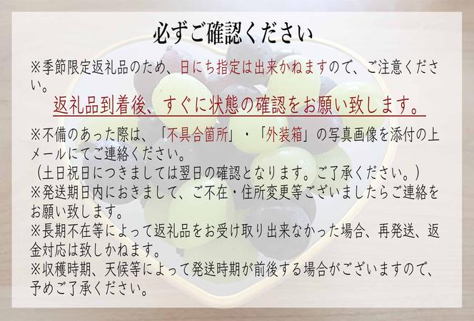 【先行予約】新米コシヒカリ2kg・ミルキークイーン2kg/シャインマスカット2房【期間限定 数量限定 葡萄 ブドウ フルーツ 新米 こしひかり お米 セット 鹿嶋市 茨城県】(KBT-2B)