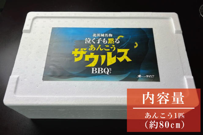 AM011　【ふるさと納税限定】あんこうザウルスBBQセット