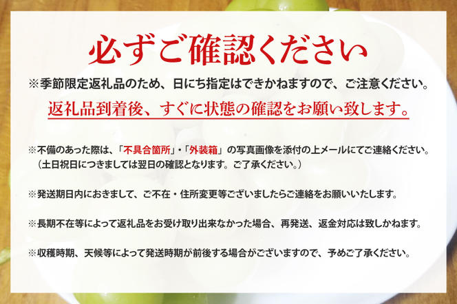 【先行予約】シャインマスカット約500g×2房（約1kg）【数量限定 フルーツ 果物 新鮮 種無し 葡萄 マスカット 鹿嶋市 茨城県】（KBT-4）