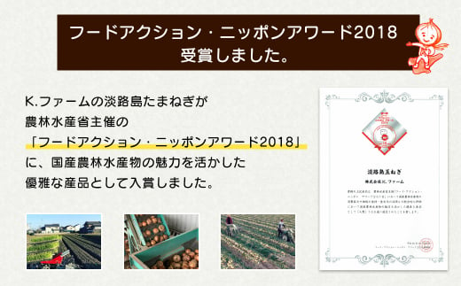 【訳あり】小さな淡路島たまねぎ 2Sサイズ 10kg