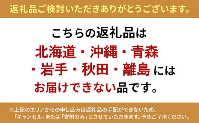 京都丹波栗「特選銀寄」の詰め合わせ　最高級 国産 栗 くり 数量限定 期間限定 秋 天然 京都府 南丹市 ※2024年10月上旬以降順次発送