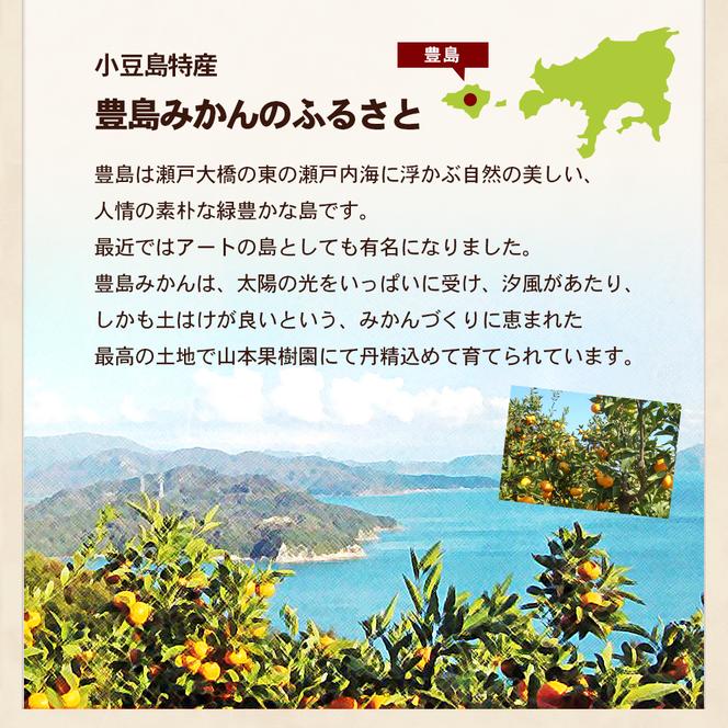 瀬戸内海に浮かぶ島・豊島の段々畠で育てられた甘～いみかん（Sサイズ5kg）1箱 豊島 みかん 甘い 瀬戸内海 てしま 小豆島 土庄 柑橘 フルーツ