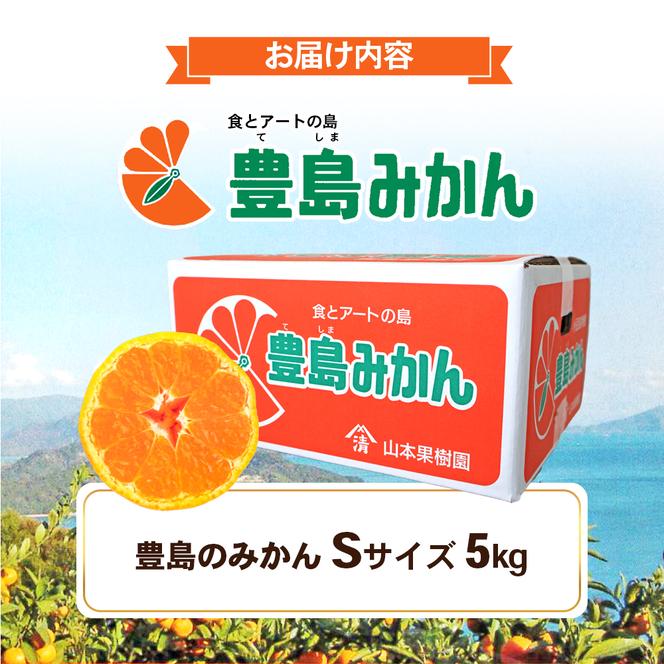 瀬戸内海に浮かぶ島・豊島の段々畠で育てられた甘～いみかん（Sサイズ5kg）1箱 豊島 みかん 甘い 瀬戸内海 てしま 小豆島 土庄 柑橘 フルーツ