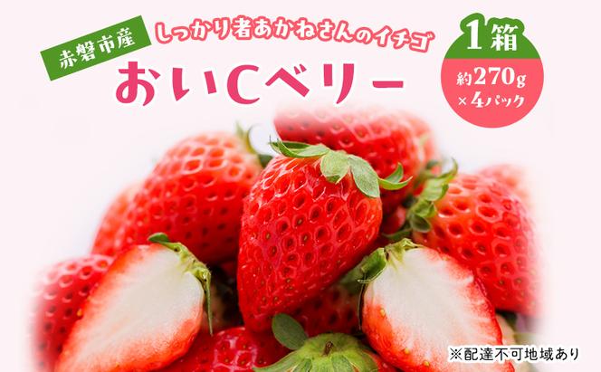 いちご 2025年 先行予約 しっかり者あかねさんの赤磐市産イチゴ  1箱 （1パック 約270ｇ×4） おいCベリー 岡山県 赤磐市 苺 果物 フルーツ