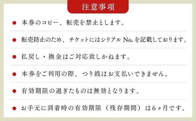 【有効期限：2025年4月30日】東京 スカイツリー 展望台 入場引換券 天望デッキ ・ 天望回廊セット券 大人 1枚 有効期間 6ヶ月 （2024.11.1～2025.4.30） TOKYO SKYTREE 墨田区