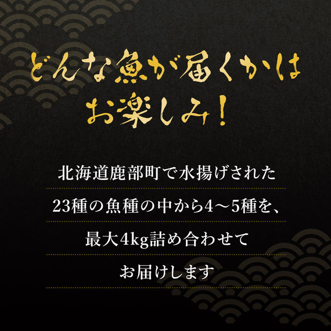 【2024年11月下旬発送】【緊急支援品】北海道 冷凍鮮魚セット 最大4kg 「漁師応援プロジェクト！」 下処理済み 冷凍 鮮魚 海鮮 海産 地元 ホタテ 事業者支援 中国禁輸措置