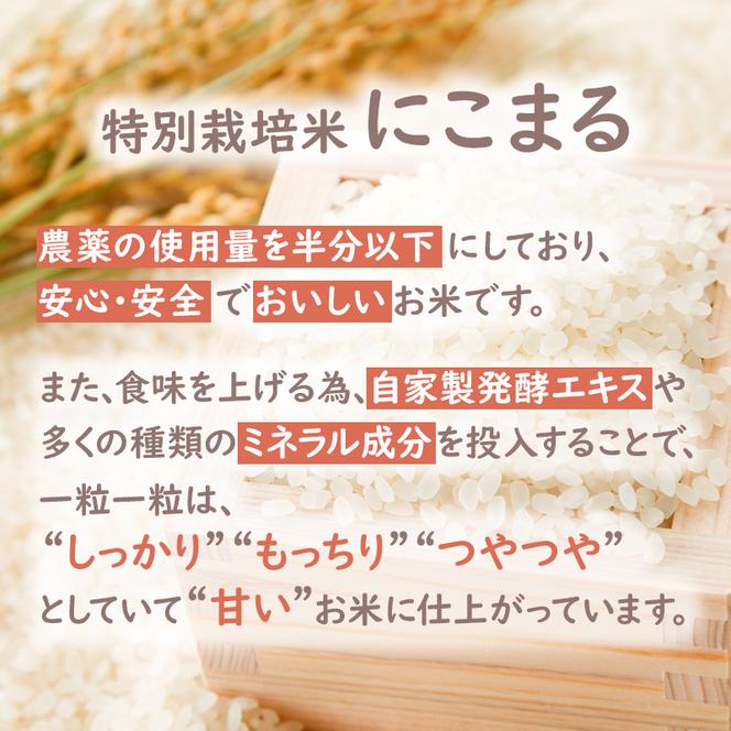 定期便 令和6年産 白米 5kg×3回 特別栽培米 にこまる （ 山田錦 ）　米 お米 こめ コメ 特栽米 5kg 3回 15kg ひょうご安心ブランド ご飯 ごはん ゴハン 精米 兵庫県 加西市