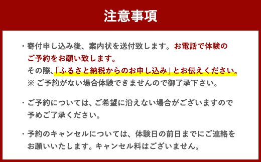 ウェイクサーフィン 1時間 体験 アクティビティ 体験チケット