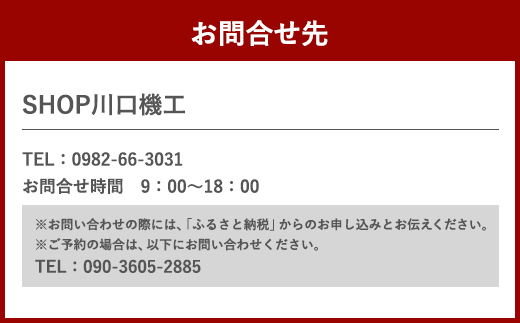 体験 ウェイクサーフィン 1時間 [SHOP川口機工 宮崎県 美郷町 31bj0011] アクティビティ 船 貸し切り 貸切 夏 スポーツ体験 スポーツ コース マリンスポーツ 利用券 利用権 宮崎県  送料無料