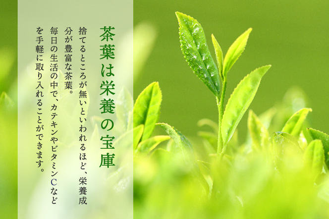 SOU・SOU菊づくし茶器セット〈お茶 茶 煎茶 緑茶 茶葉 宇治抹茶 深蒸し茶 こいまろ茶 コラボ 急須 耐熱ガラス 飲料 加工食品 工芸品 日用品〉