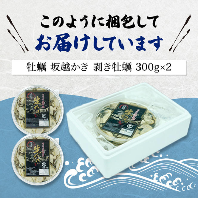 牡蠣 坂越かき 剥き牡蠣 300g×2[ 生牡蠣 かき カキ むき身 剥き身 生食 冬牡蠣 国産 ] 兵庫県 赤穂市