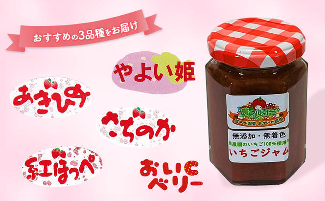 いちごジャム 食べ比べ 3種 セット ※3種の選定お任せ いちご 農マル園芸 あかいわ農園 岡山