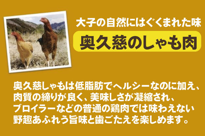 農家レストラン 奥久慈しゃも 手作り ミートパイ 5個 真空パック（BK002）